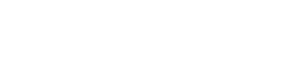 Bizwise Logo 